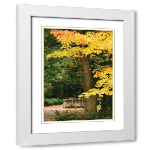 Fall Maple Fever XI White Modern Wood Framed Art Print with Double Matting by Geyman, Vitaly