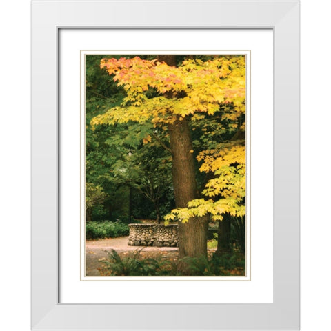 Fall Maple Fever XI White Modern Wood Framed Art Print with Double Matting by Geyman, Vitaly