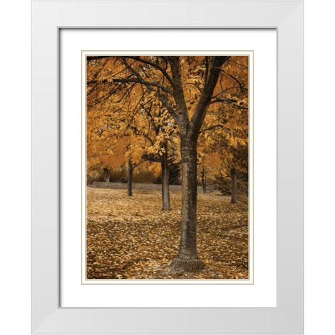 Fall Tree Grove I White Modern Wood Framed Art Print with Double Matting by Geyman, Vitaly