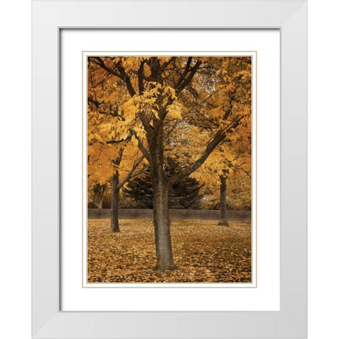 Fall Tree Grove II White Modern Wood Framed Art Print with Double Matting by Geyman, Vitaly
