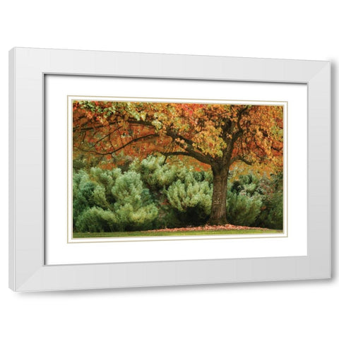 Ocean of Colors White Modern Wood Framed Art Print with Double Matting by Geyman, Vitaly