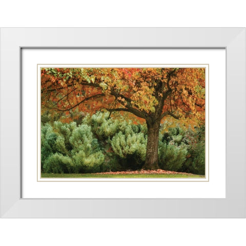 Ocean of Colors White Modern Wood Framed Art Print with Double Matting by Geyman, Vitaly