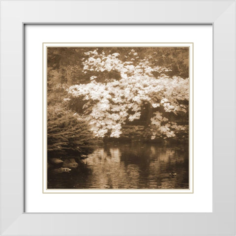 Autumn Reflections I White Modern Wood Framed Art Print with Double Matting by Geyman, Vitaly