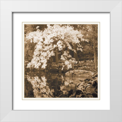 Autumn Reflections II White Modern Wood Framed Art Print with Double Matting by Geyman, Vitaly