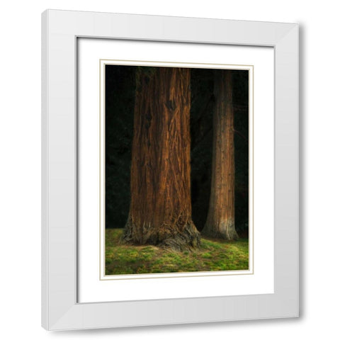 Ancient Forest II White Modern Wood Framed Art Print with Double Matting by Geyman, Vitaly
