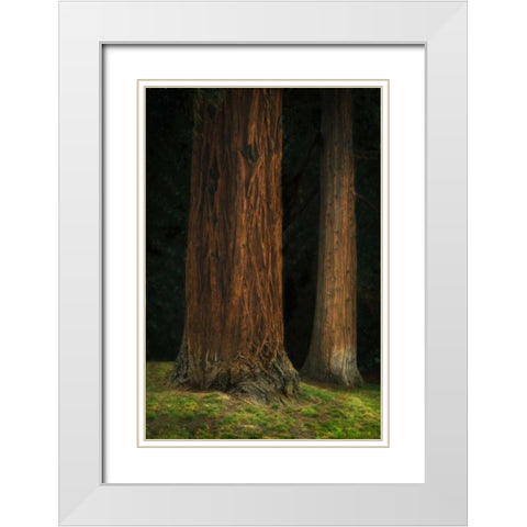 Ancient Forest II White Modern Wood Framed Art Print with Double Matting by Geyman, Vitaly