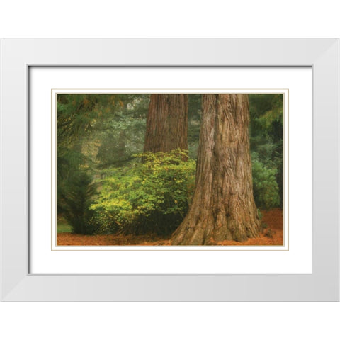 Ancient Forest III White Modern Wood Framed Art Print with Double Matting by Geyman, Vitaly