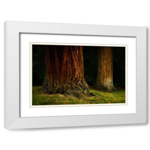 Ancient Forest IV White Modern Wood Framed Art Print with Double Matting by Geyman, Vitaly