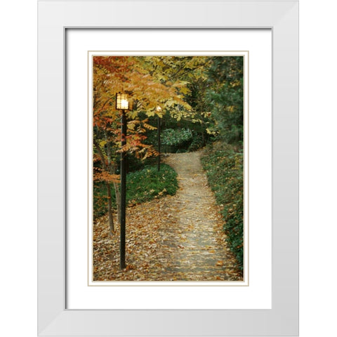 Autumn Path I White Modern Wood Framed Art Print with Double Matting by Geyman, Vitaly