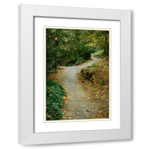 Autumn Path II White Modern Wood Framed Art Print with Double Matting by Geyman, Vitaly