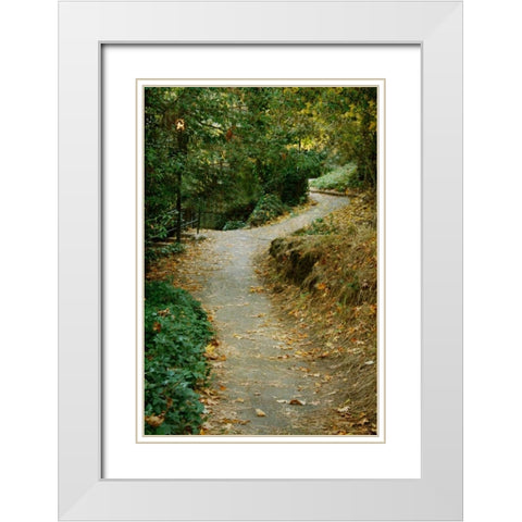 Autumn Path II White Modern Wood Framed Art Print with Double Matting by Geyman, Vitaly