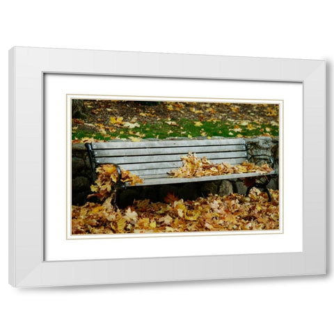 Autumn Paradise II White Modern Wood Framed Art Print with Double Matting by Geyman, Vitaly