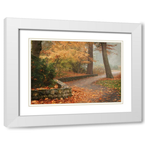 Autumn Paradise IV White Modern Wood Framed Art Print with Double Matting by Geyman, Vitaly