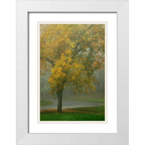 Colors in the Mist V White Modern Wood Framed Art Print with Double Matting by Geyman, Vitaly