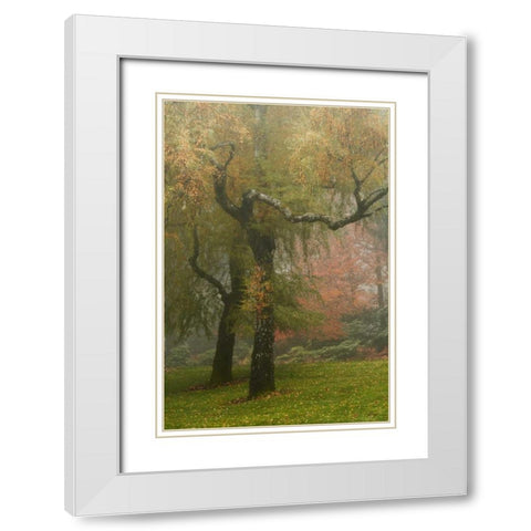 Colors in the Mist VI White Modern Wood Framed Art Print with Double Matting by Geyman, Vitaly