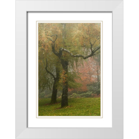 Colors in the Mist VI White Modern Wood Framed Art Print with Double Matting by Geyman, Vitaly