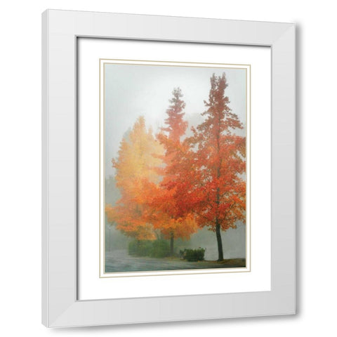 Colors in the Mist I White Modern Wood Framed Art Print with Double Matting by Geyman, Vitaly