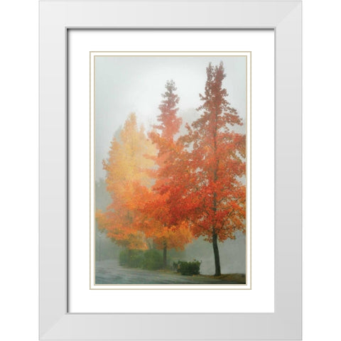 Colors in the Mist I White Modern Wood Framed Art Print with Double Matting by Geyman, Vitaly