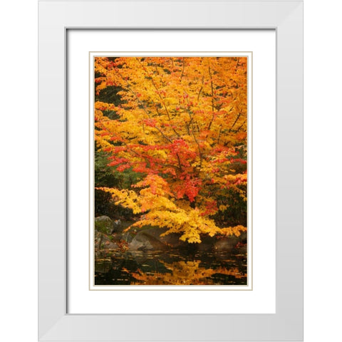 Fall Bouquet I White Modern Wood Framed Art Print with Double Matting by Geyman, Vitaly