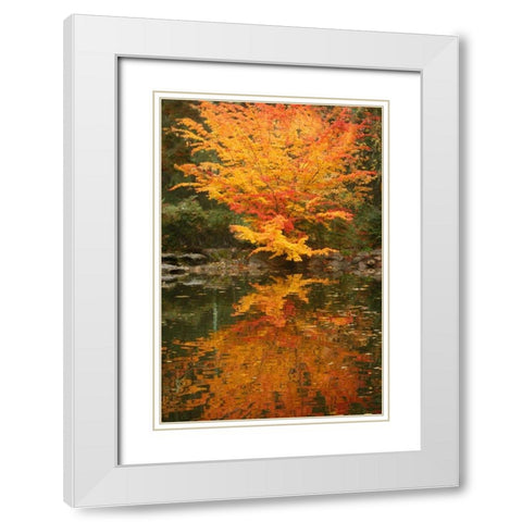 Fall Bouquet II White Modern Wood Framed Art Print with Double Matting by Geyman, Vitaly