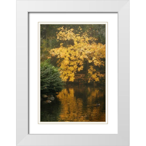 Autumn Reflections I White Modern Wood Framed Art Print with Double Matting by Geyman, Vitaly