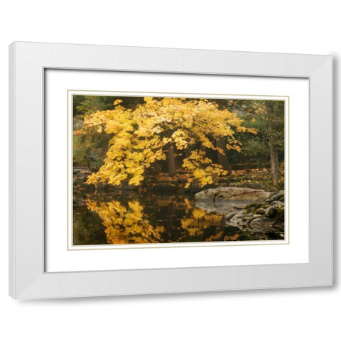 Autumn Reflections II White Modern Wood Framed Art Print with Double Matting by Geyman, Vitaly