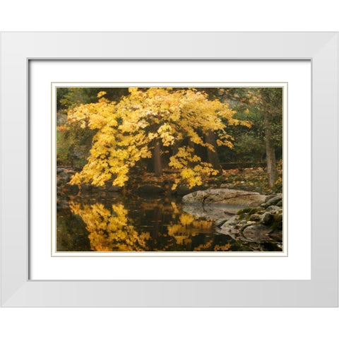 Autumn Reflections II White Modern Wood Framed Art Print with Double Matting by Geyman, Vitaly