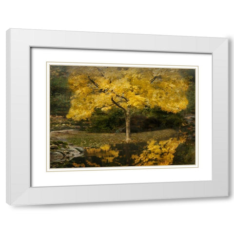 Autumn Reflections III White Modern Wood Framed Art Print with Double Matting by Geyman, Vitaly