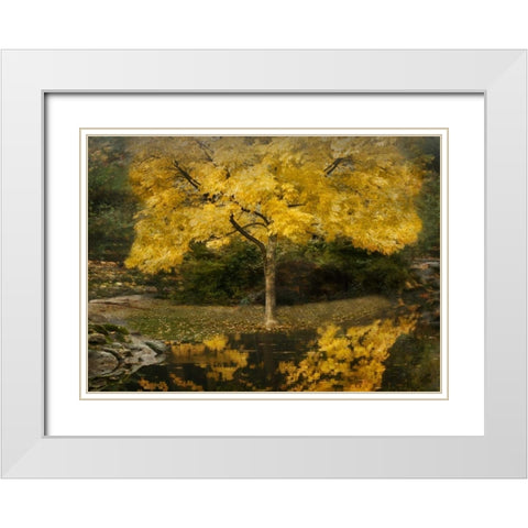 Autumn Reflections III White Modern Wood Framed Art Print with Double Matting by Geyman, Vitaly