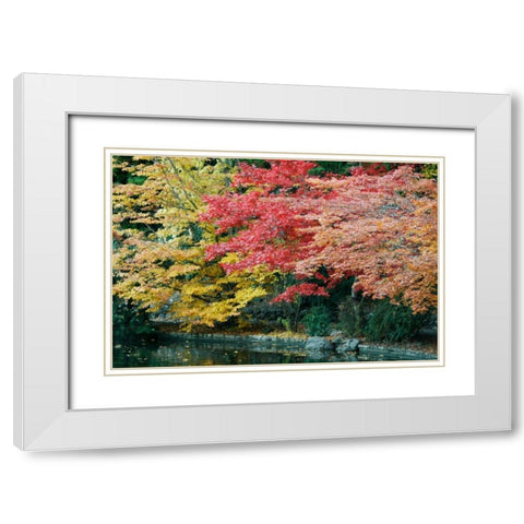Autumn Trio I White Modern Wood Framed Art Print with Double Matting by Geyman, Vitaly