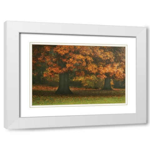 Red Oak Duo I White Modern Wood Framed Art Print with Double Matting by Geyman, Vitaly