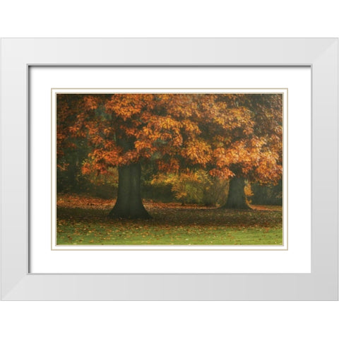 Red Oak Duo I White Modern Wood Framed Art Print with Double Matting by Geyman, Vitaly