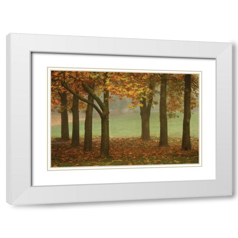 Colors in the Mist VII White Modern Wood Framed Art Print with Double Matting by Geyman, Vitaly