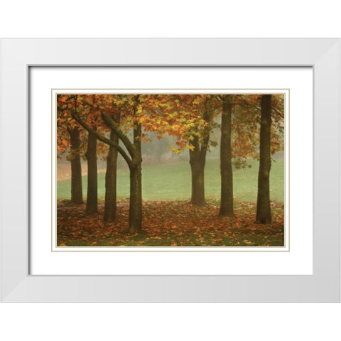 Colors in the Mist VII White Modern Wood Framed Art Print with Double Matting by Geyman, Vitaly