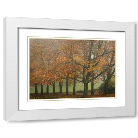 Colors in the Mist VIII White Modern Wood Framed Art Print with Double Matting by Geyman, Vitaly