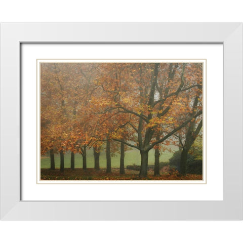 Colors in the Mist VIII White Modern Wood Framed Art Print with Double Matting by Geyman, Vitaly