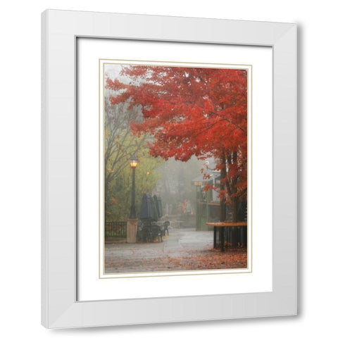 Fall Plaza III White Modern Wood Framed Art Print with Double Matting by Geyman, Vitaly