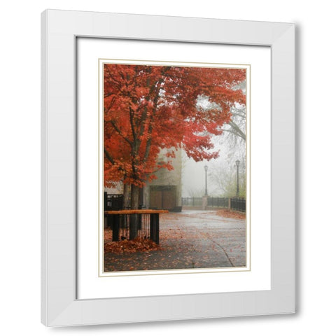 Fall Plaza IV White Modern Wood Framed Art Print with Double Matting by Geyman, Vitaly