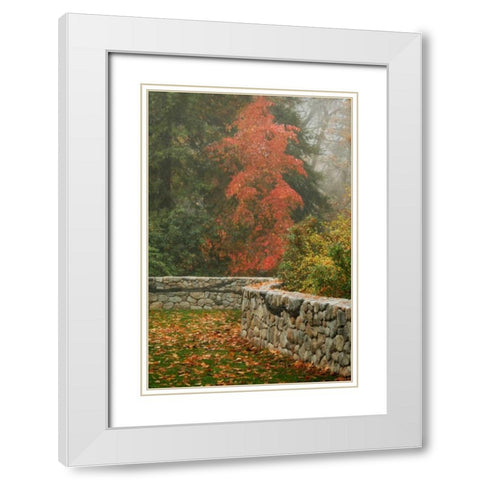 Fence Mosaic I White Modern Wood Framed Art Print with Double Matting by Geyman, Vitaly