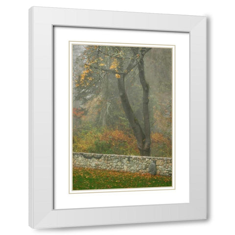 Fence Mosaic II White Modern Wood Framed Art Print with Double Matting by Geyman, Vitaly