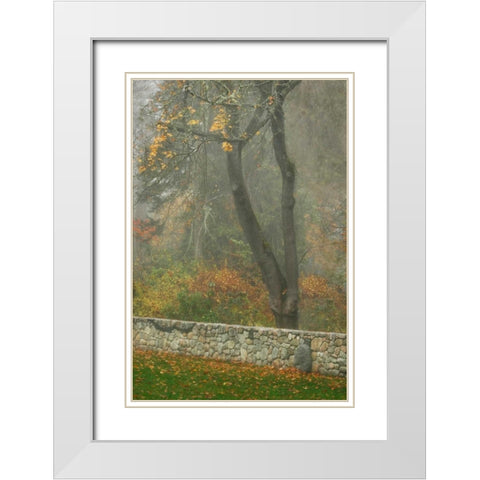 Fence Mosaic II White Modern Wood Framed Art Print with Double Matting by Geyman, Vitaly