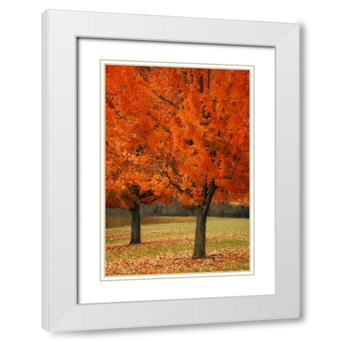 Splash of Color I White Modern Wood Framed Art Print with Double Matting by Geyman, Vitaly