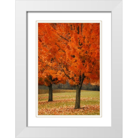 Splash of Color I White Modern Wood Framed Art Print with Double Matting by Geyman, Vitaly
