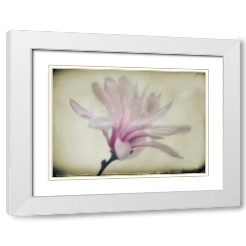 Floral Dreams I White Modern Wood Framed Art Print with Double Matting by Geyman, Vitaly