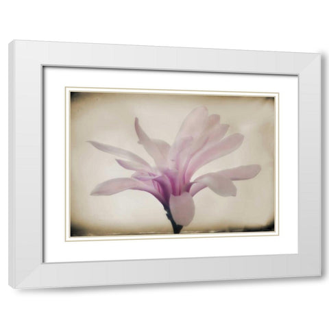 Floral Dreams II White Modern Wood Framed Art Print with Double Matting by Geyman, Vitaly