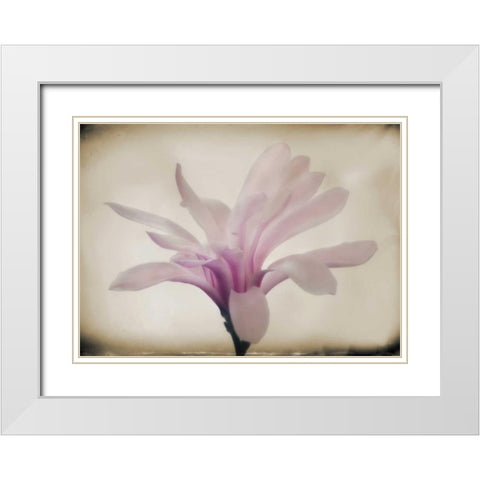 Floral Dreams II White Modern Wood Framed Art Print with Double Matting by Geyman, Vitaly