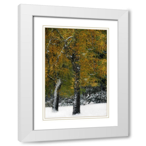 Last of Color I White Modern Wood Framed Art Print with Double Matting by Geyman, Vitaly