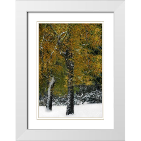 Last of Color I White Modern Wood Framed Art Print with Double Matting by Geyman, Vitaly