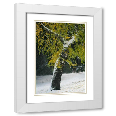 Last of Color II White Modern Wood Framed Art Print with Double Matting by Geyman, Vitaly