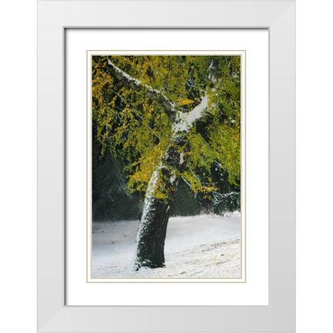 Last of Color II White Modern Wood Framed Art Print with Double Matting by Geyman, Vitaly